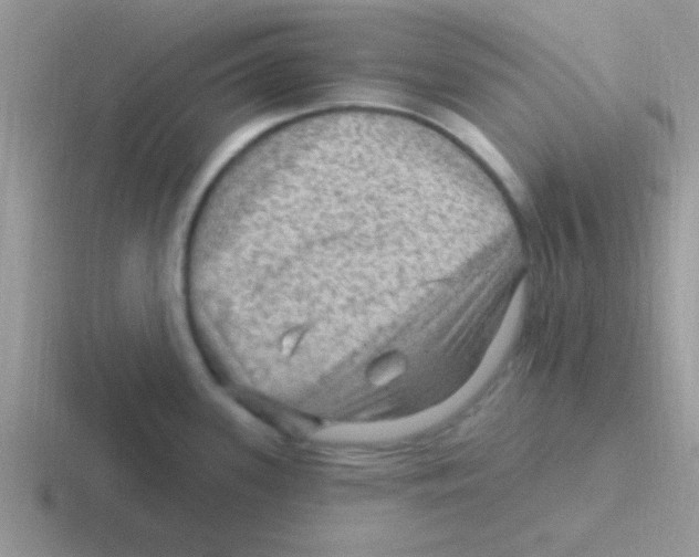 X0000116591339201001071226