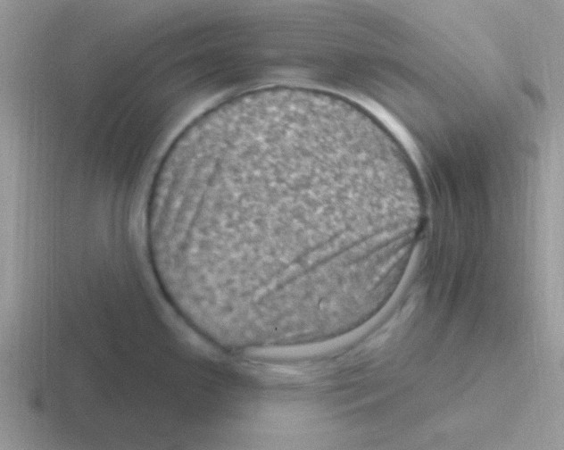 X0000116591341201001071226