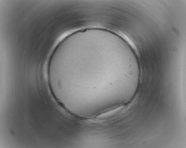 X0000116591342201001071226