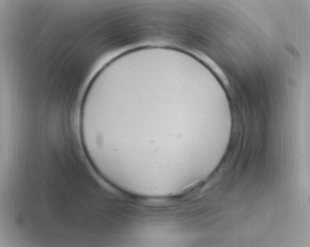 X0000116591343201001071226