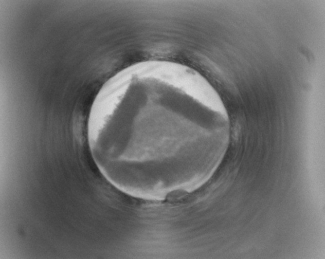 X0000116591346201001071226