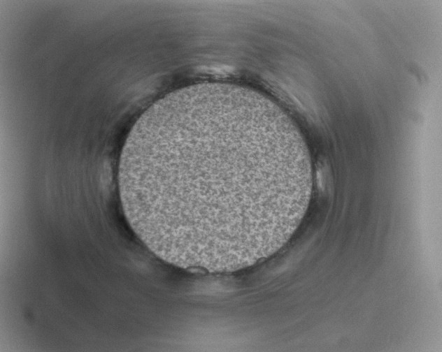 X0000116591347201001071226