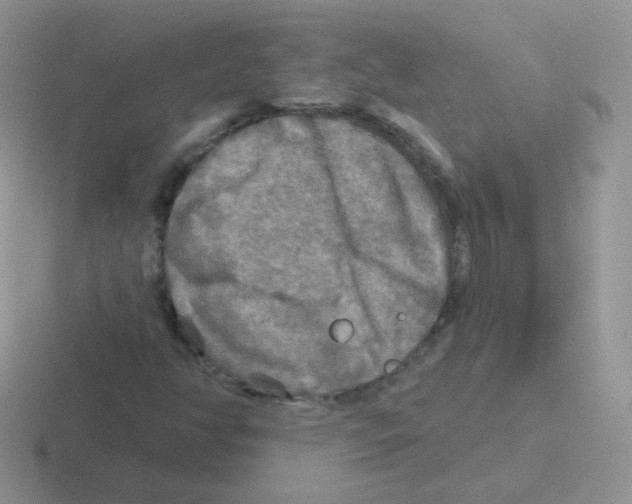 X0000116591350201001071226