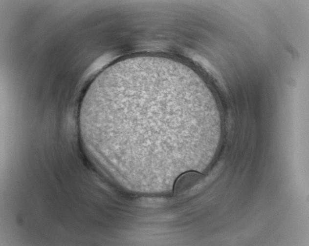 X0000116591354201001071226