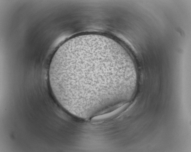 X0000116591355201001071226