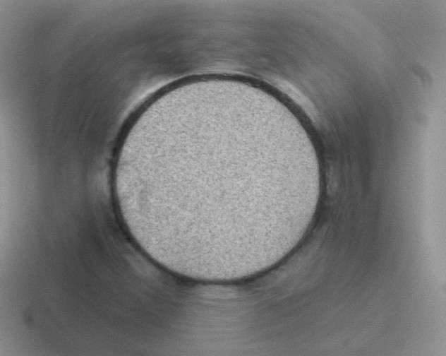 X0000116591356201001071226