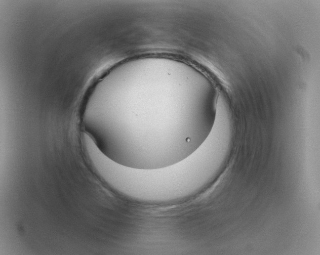 X0000116591357201001071226