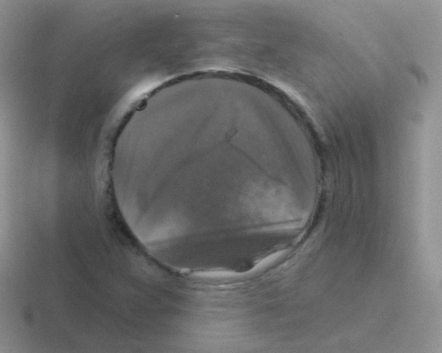 X0000116591359201001071226