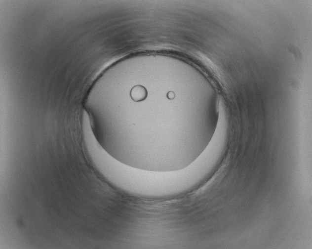 X0000116591361201001071226