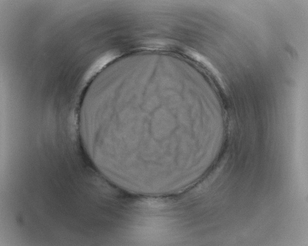 X0000116591362201001071226