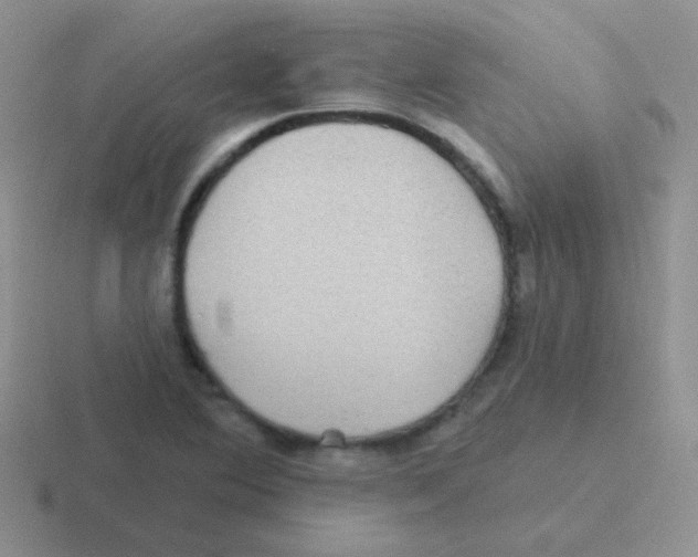 X0000116591364201001071226