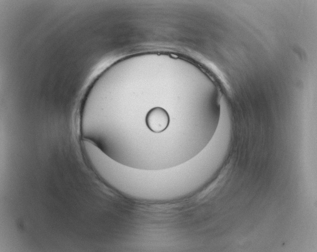 X0000116591365201001071226