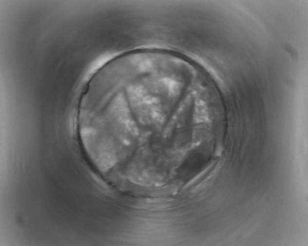 X0000116591367201001071226