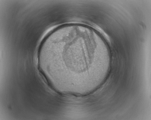 X0000116591368201001071225