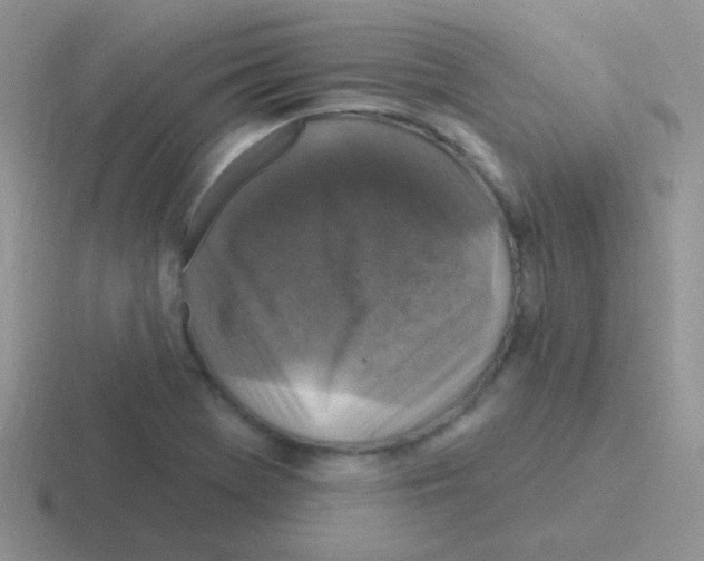 X0000116591369201001071225