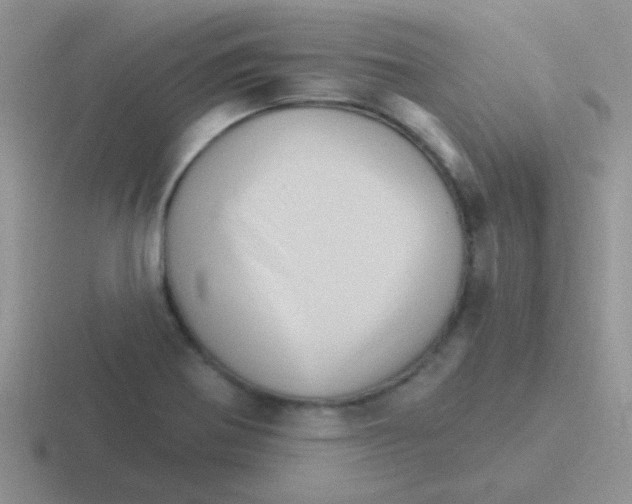 X0000116591370201001071225