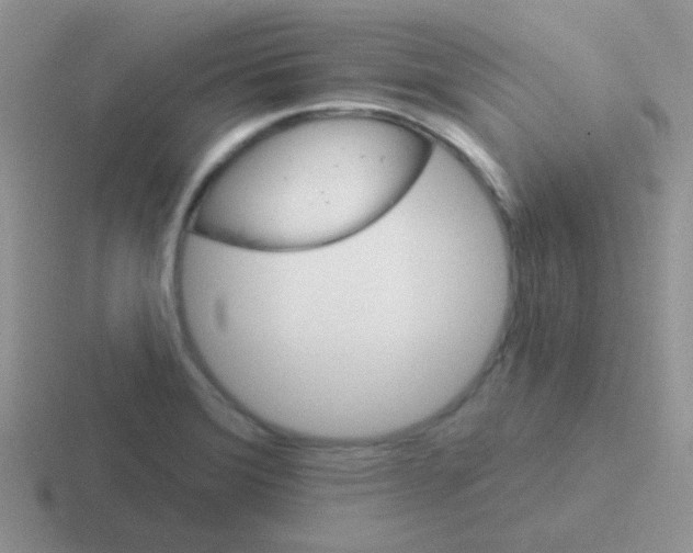 X0000116591372201001071225