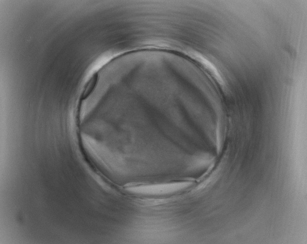 X0000116591373201001071225