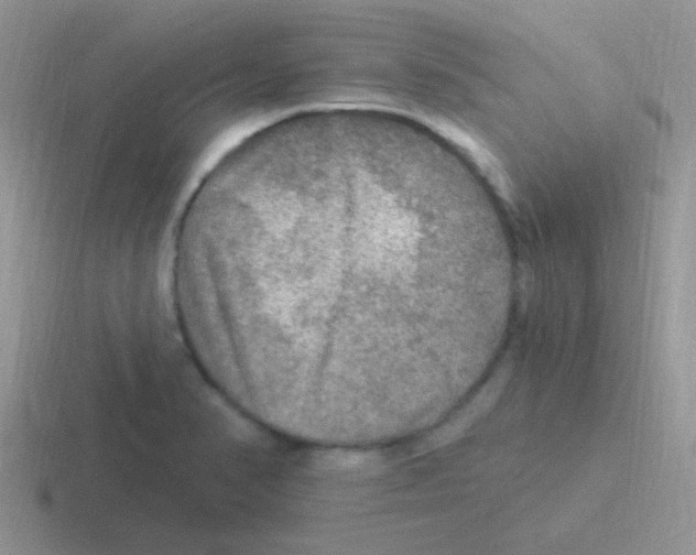 X0000116591374201001071225