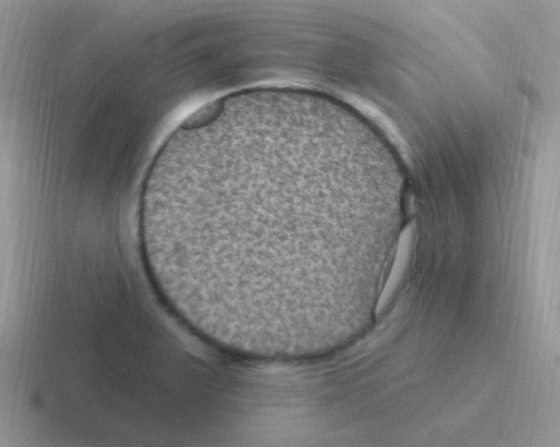 X0000116591375201001071225