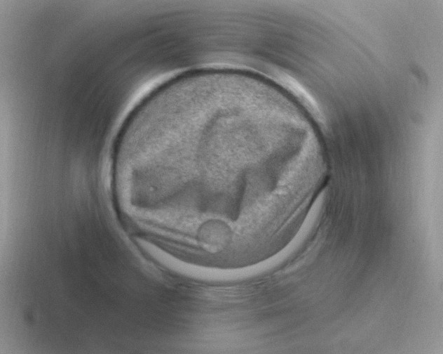 X0000116591376201001071225