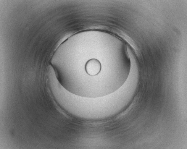 X0000116591377201001071225