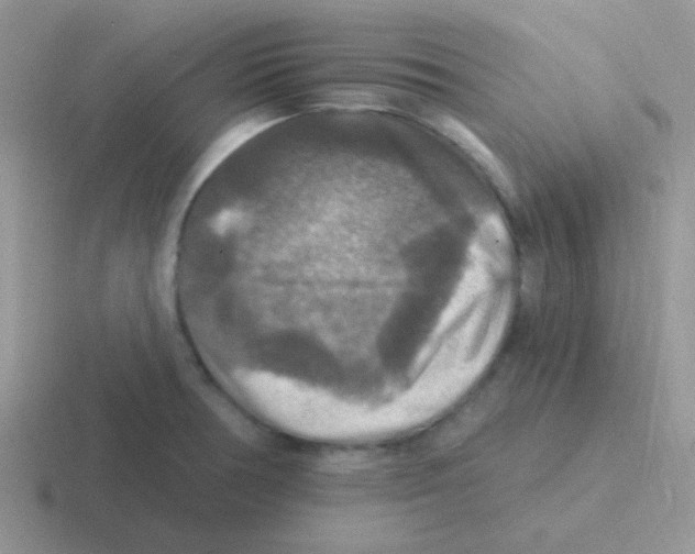 X0000116591378201001071225