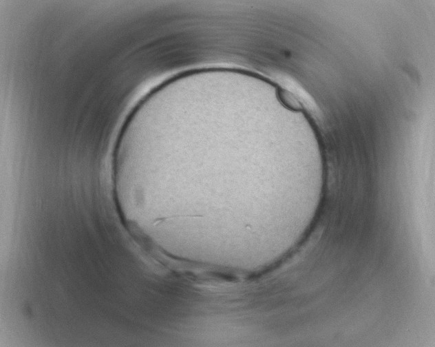 X0000116591380201001071225