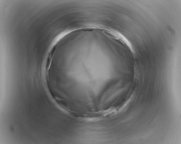 X0000116591381201001071225