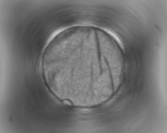 X0000116591382201001071225