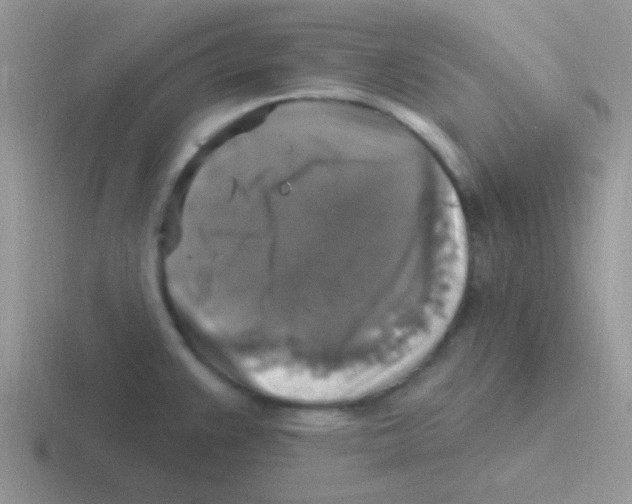 X0000116591383201001071225