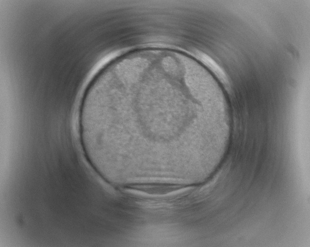 X0000116591384201001071225