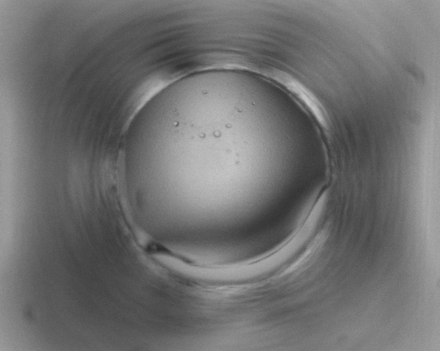 X0000116591385201001071225