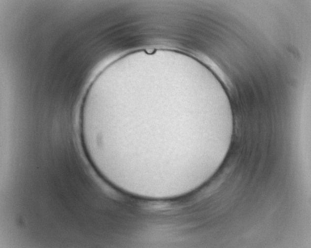 X0000116591387201001071225