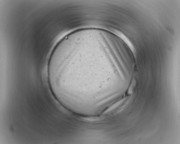 X0000116591388201001071225