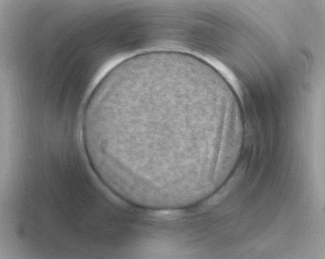 X0000116591390201001071225