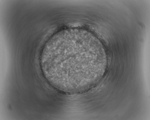 X0000116591393201001071225