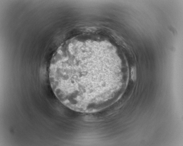 X0000116591395201001071225