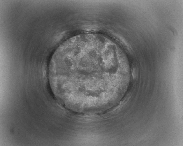 X0000116591396201001071225