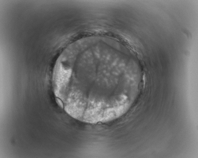 X0000116591397201001071225