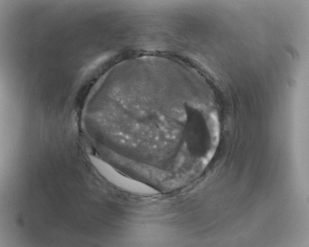 X0000116591398201001071225