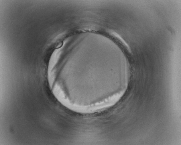 X0000116591399201001071225