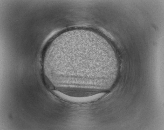 X0000116591400201001071225