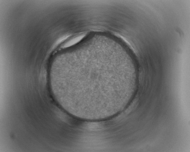 X0000116591402201001071225