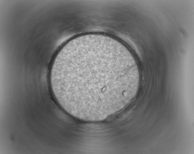 X0000116591404201001071225