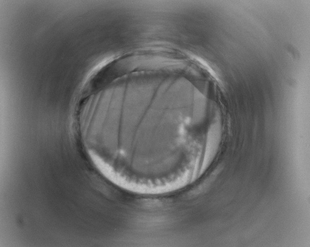 X0000116591405201001071225