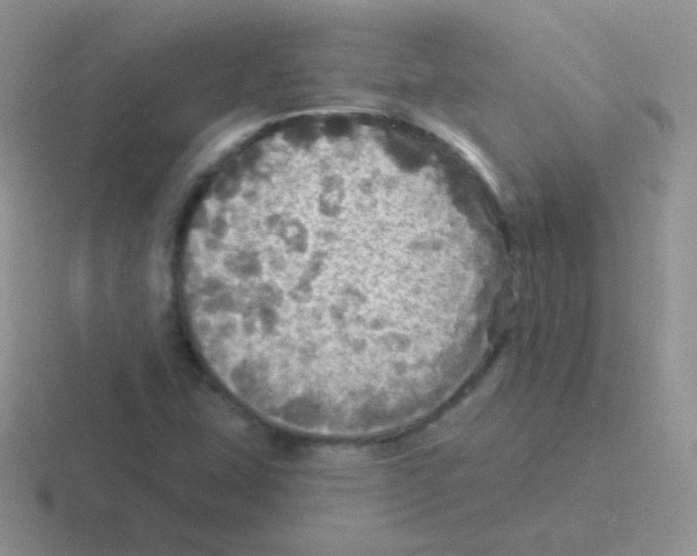 X0000116591407201001071225