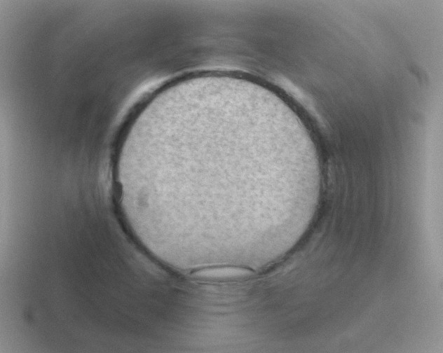 X0000116591408201001071225