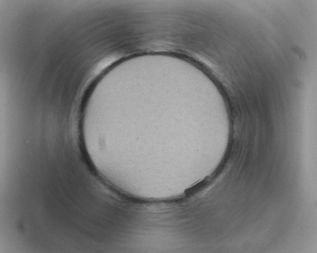 X0000116591410201001071225