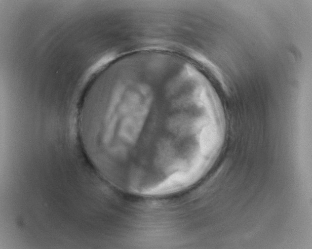 X0000116591411201001071225